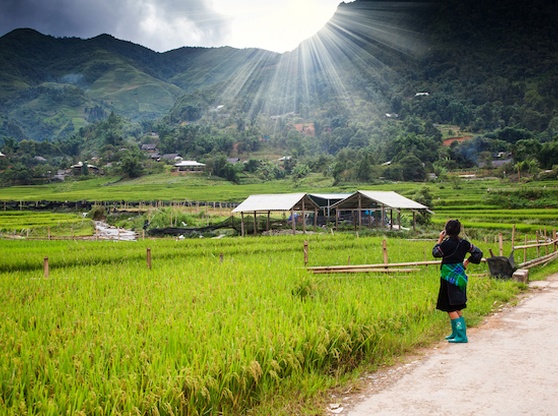 Best Time to Visit Sapa