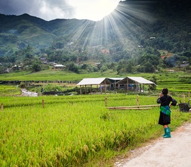 Best Time to Visit Sapa